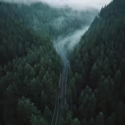 a road winding through the middle of a forest