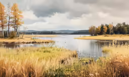 a large lake surrounded by tall dry grass