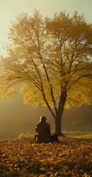 there is a man sitting on the ground under a tree