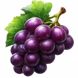 a bunch of purple grapes with green leaves on them