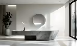 a bathroom with a marble sink and plant in the corner
