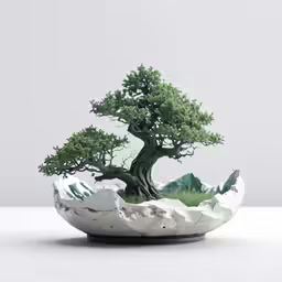 a bonsai tree in a vase shaped bowl