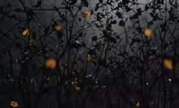 a group of weeds with leaves on them in the rain