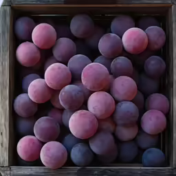 a close up of a box filled with plums