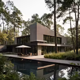 a pool in the foreground and a modern, black, house with glass windows in the background
