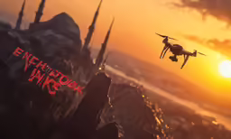 a close up of a flying in front of a sunset