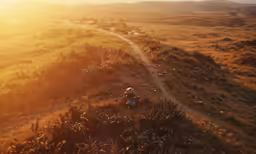 a person riding a mountain bike down a country road