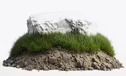 this is a grass covered rock and grass in it