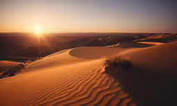 a very sandy area that looks like desert with the sun shining over