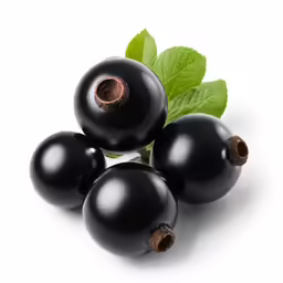 a pile of black currans with green leaves
