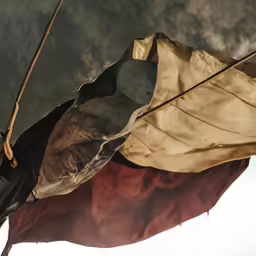 a man holding a long flag in his hands