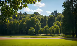 a field with many trees behind it