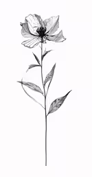 a drawing of a flower, with leaves