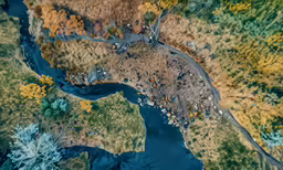 an aerial view of many trees and water in the land
