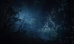 blurry picture of trees and plants in night