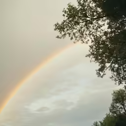 rainbow in the sky with clouds over a park area