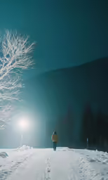 a person walking up a snow covered path at night