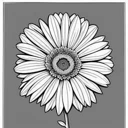 a drawing of a white daisy on gray with white background,a black and white sunflower, an illustration by mary bougins