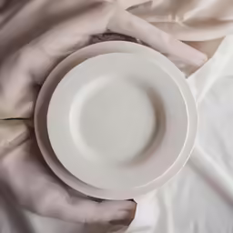 someone wearing gloves, holding a plate in their hands