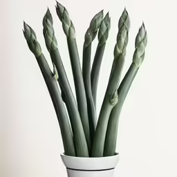 a white vase with some flowers in it