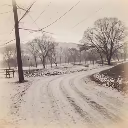 a dirt path with trees and snow around it