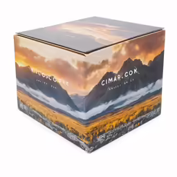 an image of a box with a scenic scene