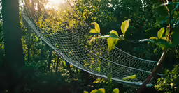 there is a white hammock hanging between trees