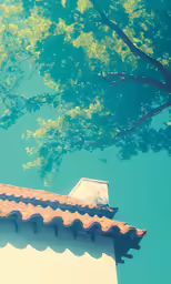 an outside view of a tree and a building that is taller than it looks