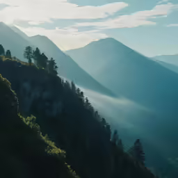 some trees and mountain and fog on the air