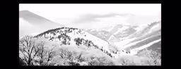 some snow covered mountains and trees in black and white