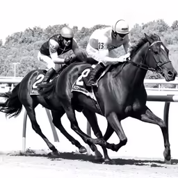two horses race with jockeys on top of them