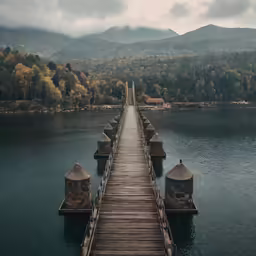 a small pier extending into the water