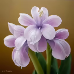 a purple flower with drops of water sitting on top of it
