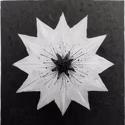 black and white photograph of a flower with large petals