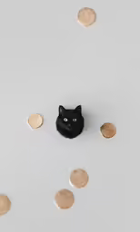 a black cat laying on top of a pile of coins