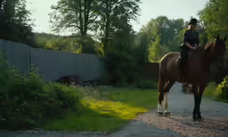 a woman sitting on top of a brown horse