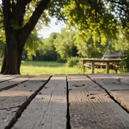 a picnic table made of old planks is viewed through the large tree
