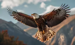 a large bald eagle with spread wings is in the air