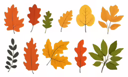 leaves of various varieties with different types on a white background