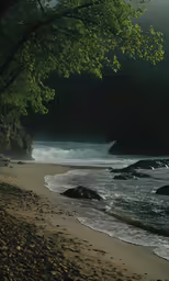 the sun shines in from behind a green tree above the water at a beach