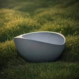 a large bowl is sitting on the grass