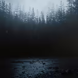 trees and rocks in the fog at dusk on a river