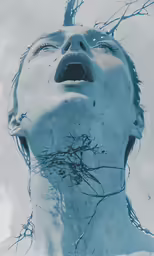 a womans face and branches are reflecting in the water