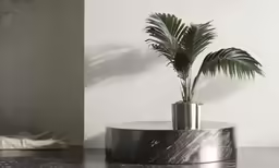 the large plant has a metal stand underneath it