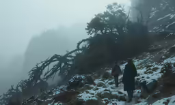 a person walking along a snow covered hillside