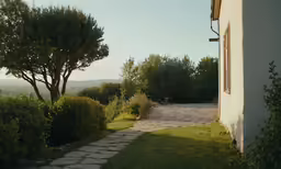 a pathway near a house leading to a tall tree