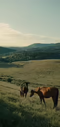 a mare and foal grazing in a field