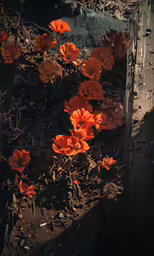 some orange and yellow flowers sitting near a wood pole