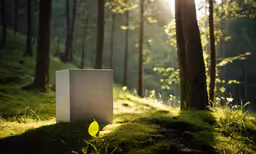 a concrete box sitting in the middle of a forest