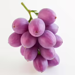 a group of small grapes sitting on top of a white surface